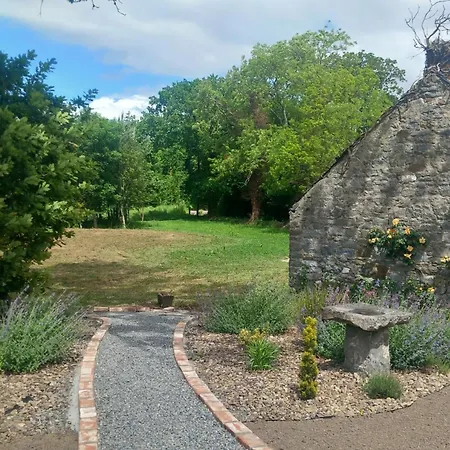 Hemma Grove, The Loft Kilkenny